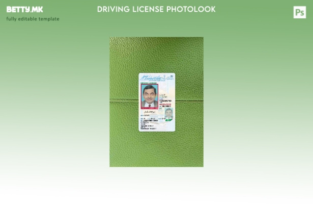 Возачка дозвола во модерен стил САД Тенеси под шаблон photolook FRONT